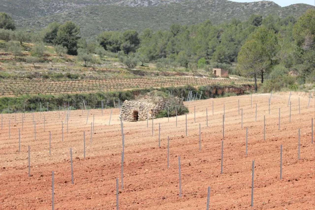 Mas Llagostera Bisbal del Penedes Villa